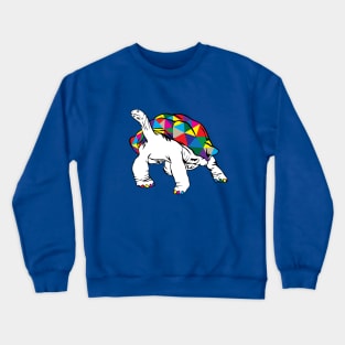 Rainbow Turtle Crewneck Sweatshirt